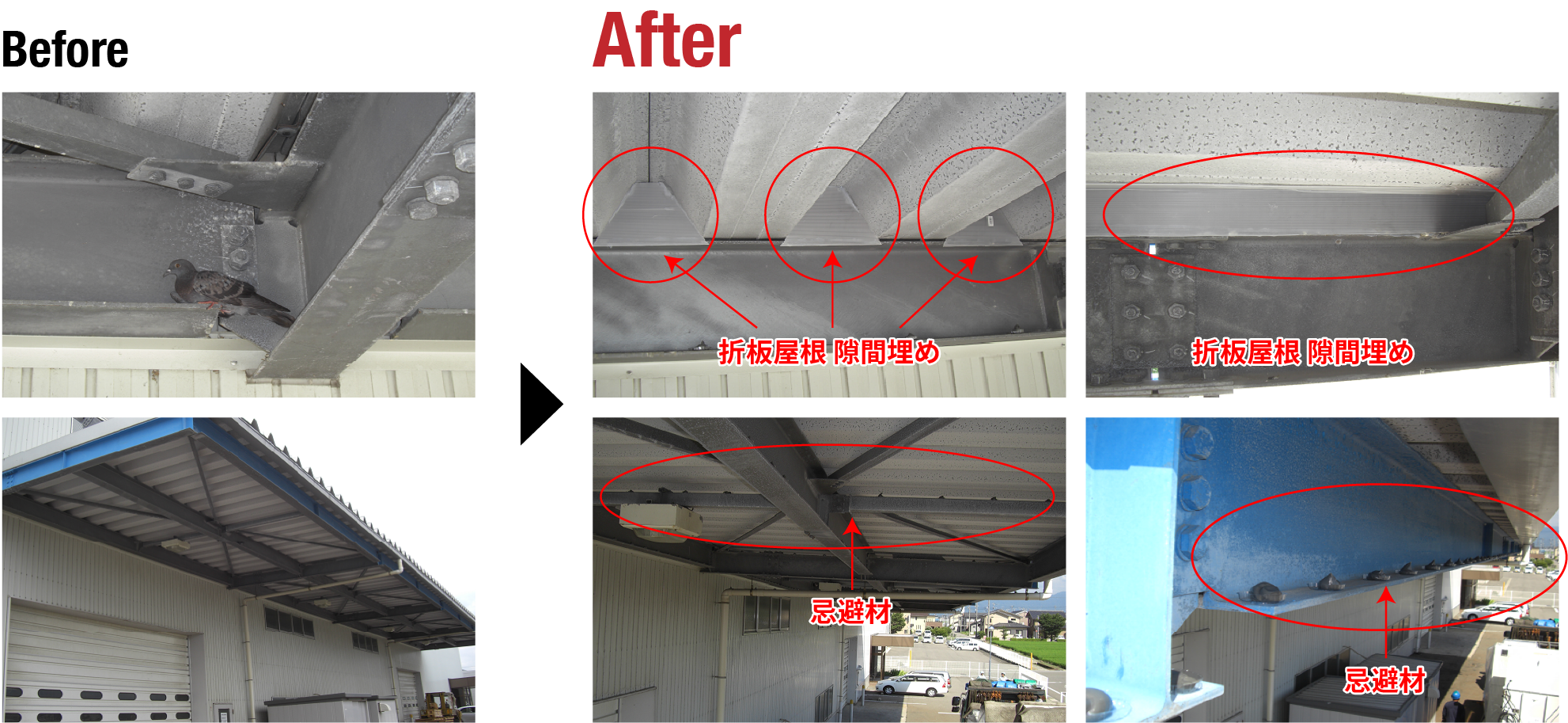 倉庫内へのハト侵入対策として庇部に施工した防鳥ネットの事例