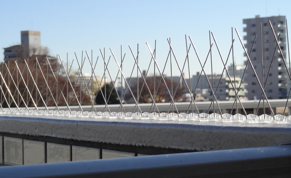 手すりや看板上に設置する剣山タイプの鳥害対策