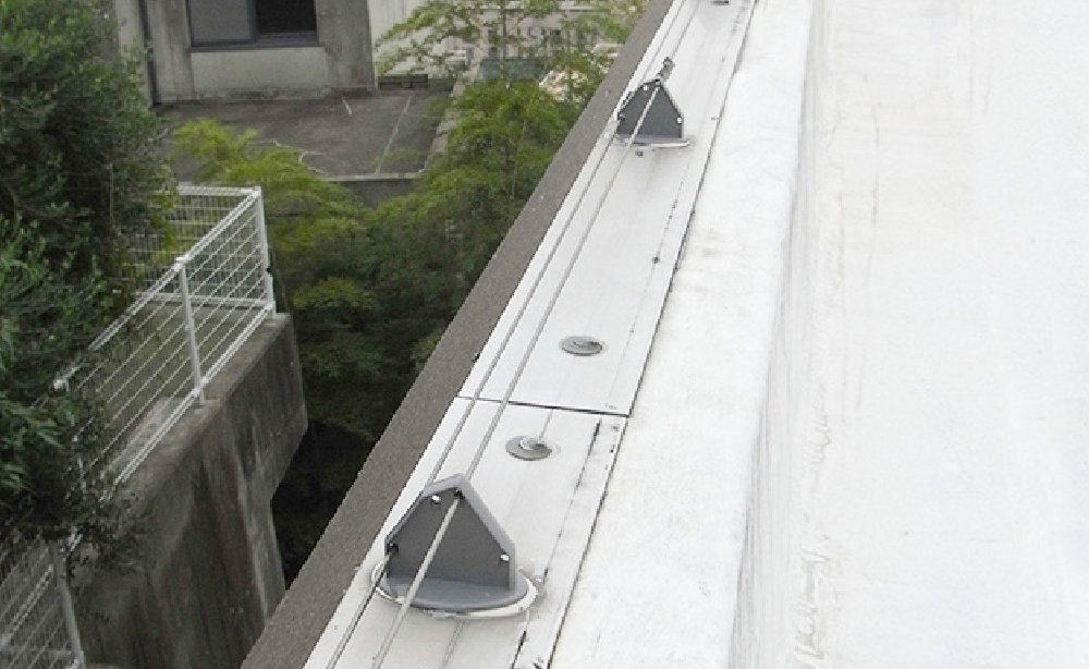 忌避剤を用いた鳥害対策の施工例